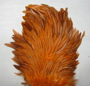 Hebert wet hen saddle rusty orange  Whiting